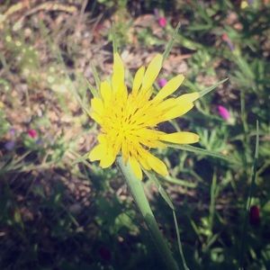 Meet your Posher, Kay